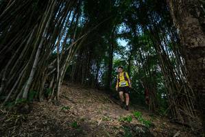 BIB: 
                            <button type="button" onclick="openModal(19395497)" class="btn btn-primary btn-sm float-right btn-popup" data-toggle="modal" data-target=".modal-high-quality">
                        <i class="fas fa-shopping-cart"></i> Add to Cart
                    </button>
                                            <button type="button" onclick="isThisMe(19395497, true)" class="btn btn-success btn-sm float-right btn-popup btn-isme hidden" data-toggle="tooltip" data-placement="bottom" title="นี่คือรูปของคุณใช่ไหม คลิกที่นี่เพื่อเอาเข้าอัลบั้ม">
                        <i class="fas fa-plus"></i> Add to album
                    </button>
                    <button type="button" onclick="isThisMe(19395497, false)" class="btn btn-warning btn-sm float-right btn-popup btn-isnotme hidden">
                        <i class="fas fa-ban"></i> Remove from album
                    </button>